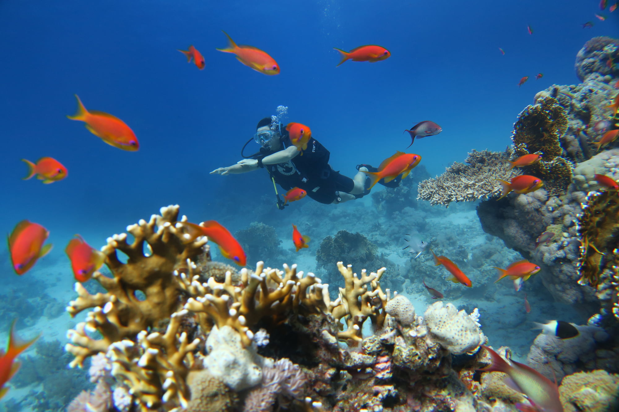 Red Sea